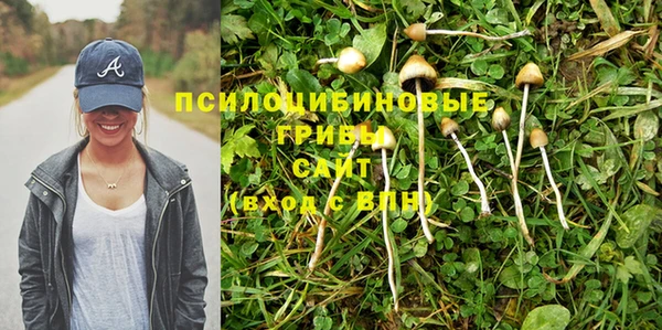 ешки Алексин