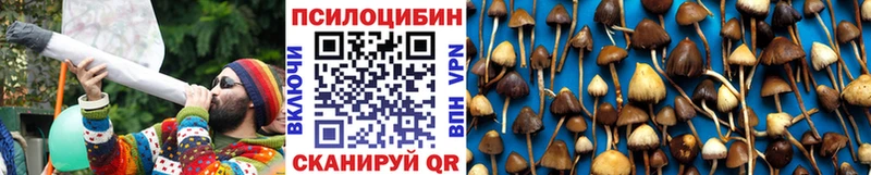 кракен зеркало Староминская Псилоцибиновые грибы Cubensis