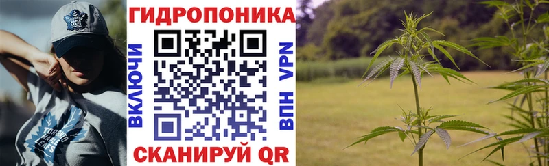 Бошки Шишки LSD WEED  mega сайт  Староминская 